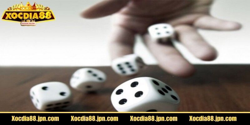 Giới thiệu cơ bản về cách chơi xóc đĩa Xocdia88