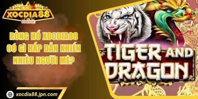 Rồng Hổ Xocdia88 Có Gì Hấp Dẫn Khiến Nhiều Người Mê?